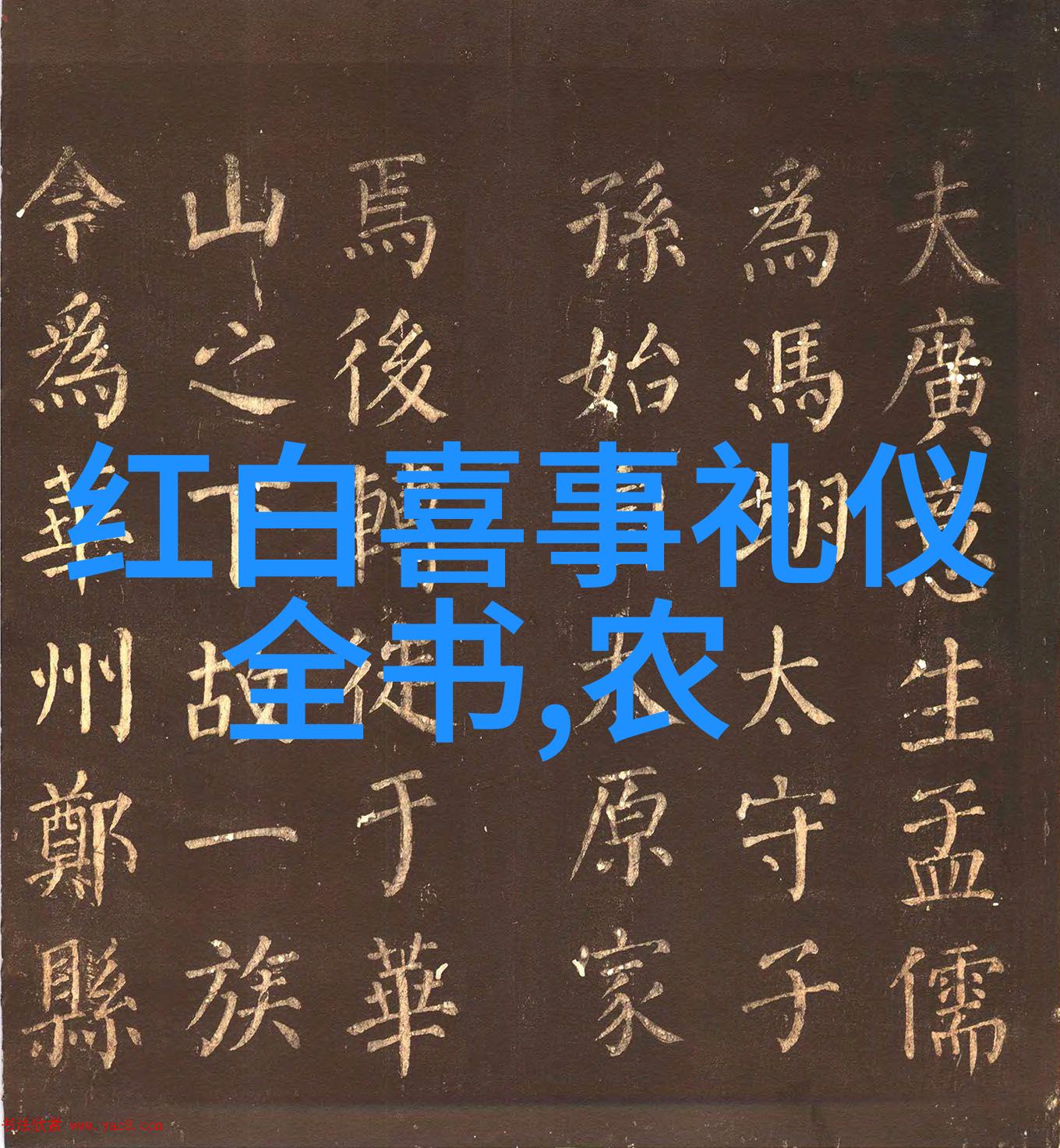 宋臻非遗火在当下传向未来