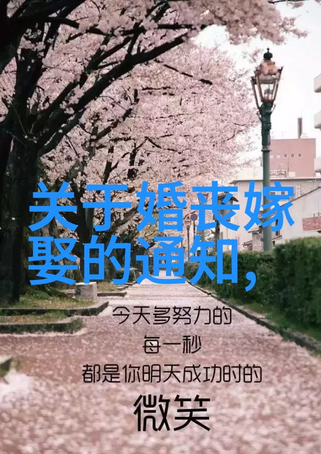 安徽省2025年春节非遗宣传展示活动精彩纷呈
