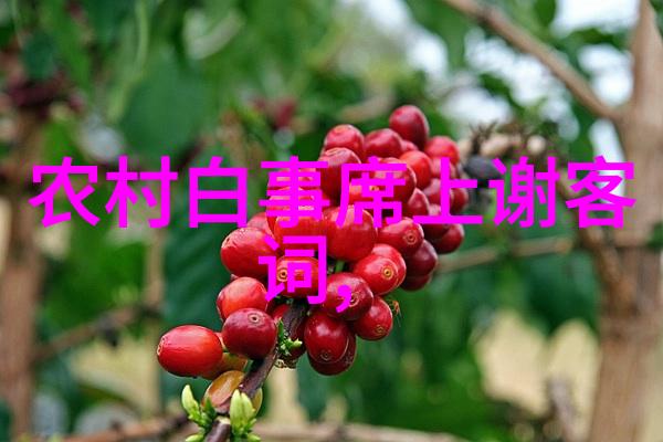 饲生恋亲视尸